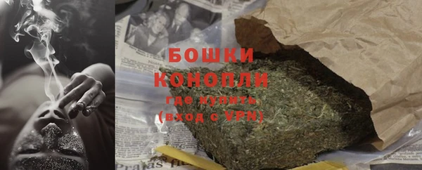 стаф Горняк