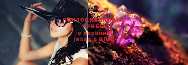 крисы Горнозаводск