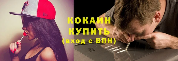 стаф Горняк