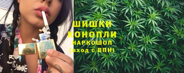 стаф Горняк