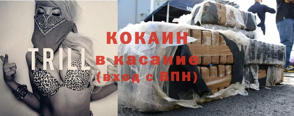 стаф Горняк