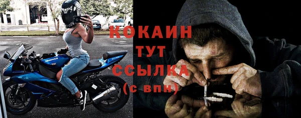 стаф Горняк