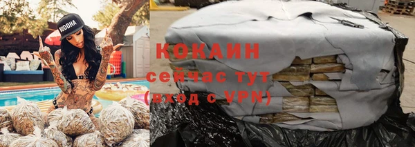 стаф Горняк